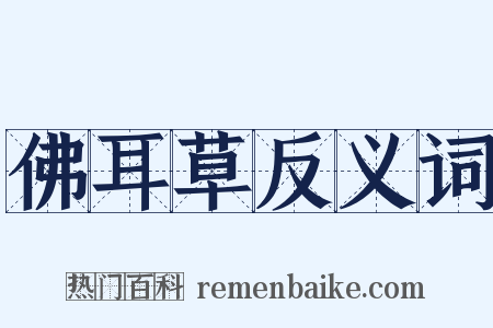 佛耳草反义词是什么意思的图片